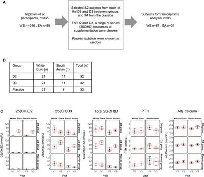 Vitamins D2 and D3 Have Overlapping But Different Effects on the Human Immune System Revealed Through Analysis of the Blood Transcriptome